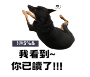 627096590
