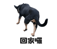 627096595