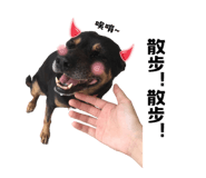 627096596