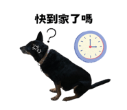 627096597