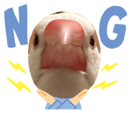 627190308