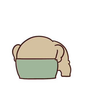 Beartod lagi รูปที่ 9