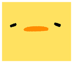 62720247