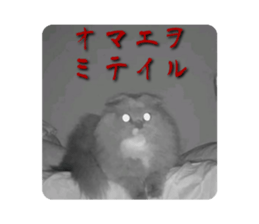 627212165