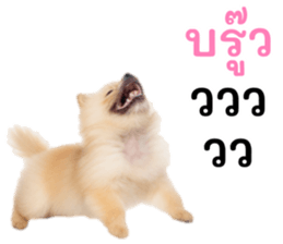 627213769