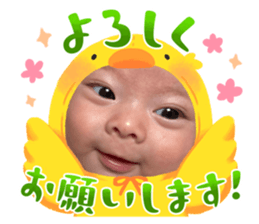 627253536