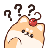 627259961