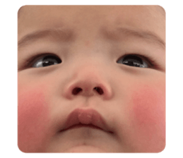 627284525