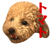 627291820