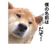 627292862