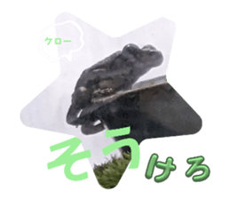 627303086