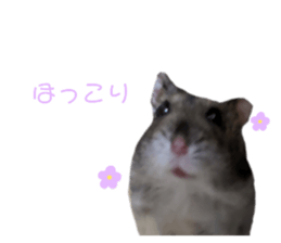 627321901