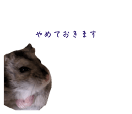 627321904