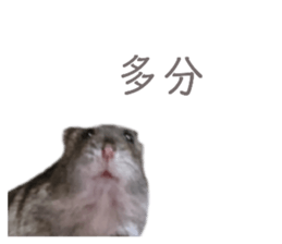 627321907