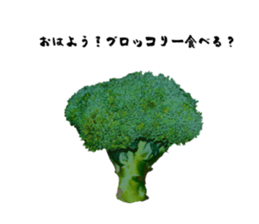 627337226