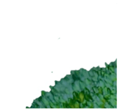 627337238