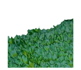 627337239