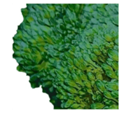 627337242