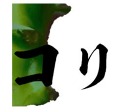 627337252