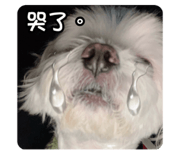 627352040