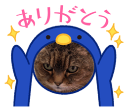627393907