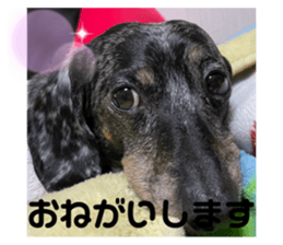 627395029