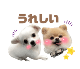 627399135