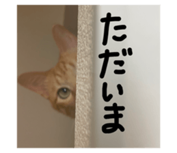 627406138