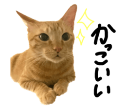 627406155
