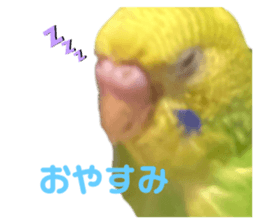 627406296