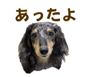 627407150