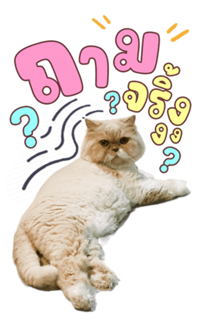 627428382