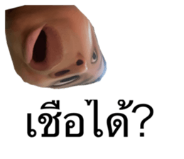 627452495