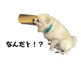 627470553