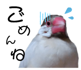 627470691