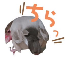 627470697