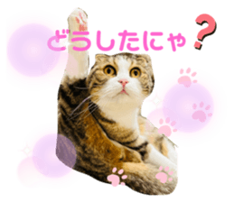 627538114