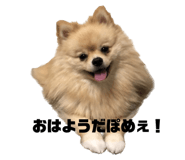 627571028