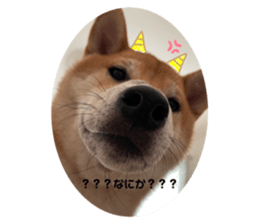 627615583