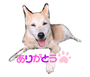 627640344