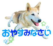627640349