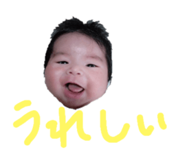 627645368