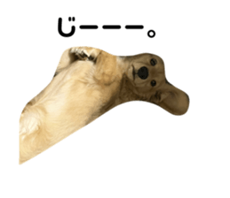 627645519