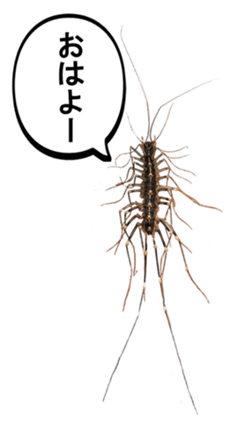 627661767