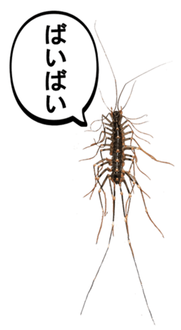 627661775