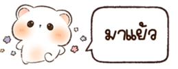 627665203