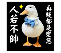 627670494