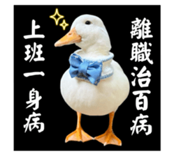 627670501