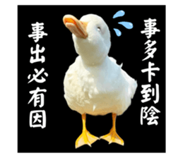 627670504