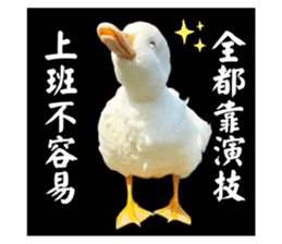 627670506